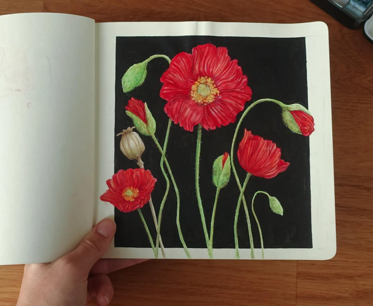 Untitled Untitled